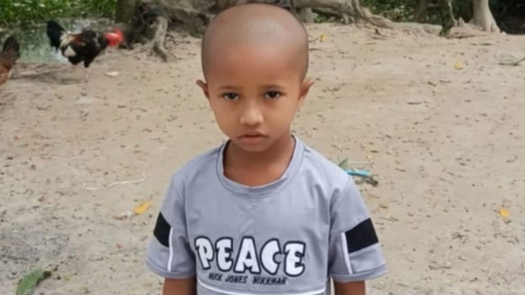 সিরাজদিখানে ভিমরুলের কামড়ে শিশুর মৃত্যু