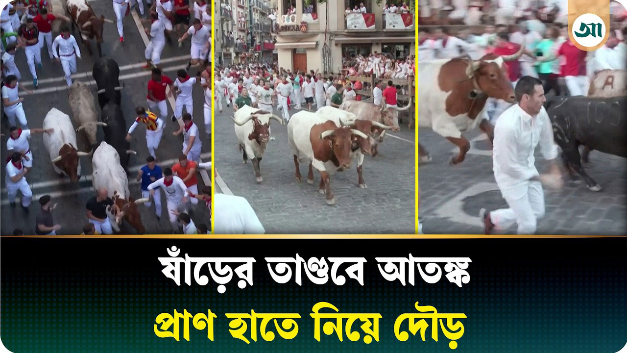 শিং উঁচিয়ে ছুটে আসে ষাঁড়, প্রাণ বাঁচাতে দৌড় হাজারো মানুষের