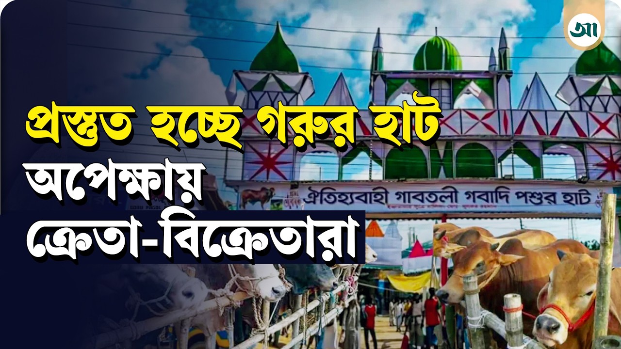 রাজধানীতে প্রস্তুত হচ্ছে পশুর হাট, কবে শুরু বেচাকেনা