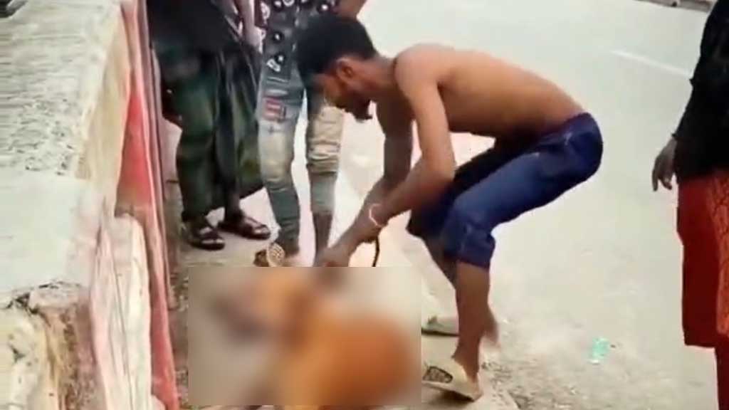 কুকুরের গলায় ইট বেঁধে সেতু থেকে নদীতে নিক্ষেপ, যুবককে গ্রেপ্তার