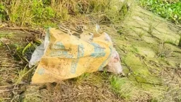 আড়িয়াল খাঁ নদের তীরে পড়ে ছিল হাত-পা বাঁধা বস্তাবন্দী যুবকের লাশ