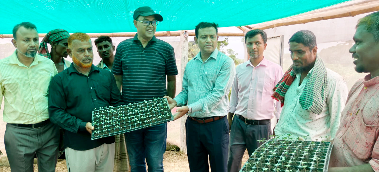 পদ্মার চরে ‘ট্রে’ পদ্ধতিতে উৎপাদিত হচ্ছে সবজির চারা