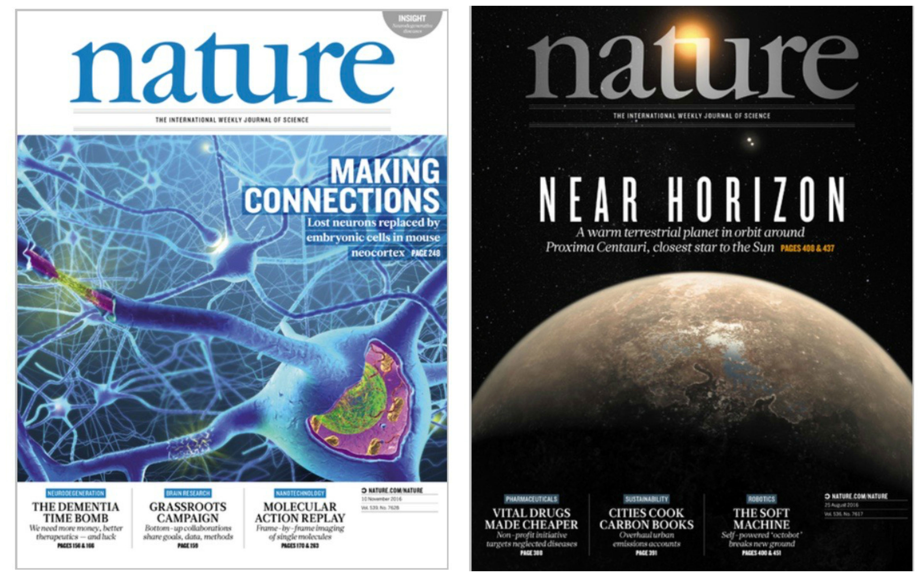 ১৫৬ বছরের পথচলা: এবার টিকটকে বিজ্ঞান নিয়ে হাজির বিশ্বখ্যাত সাময়িকী ‘নেচার’