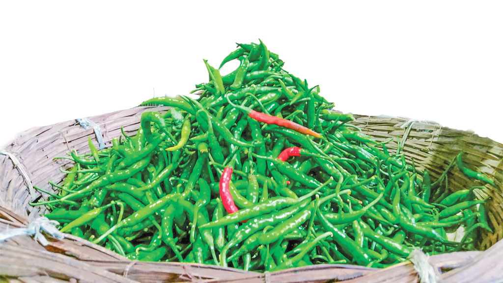 আমদানি শুরু হওয়ায় কাঁচা মরিচের বাজার সহনীয়