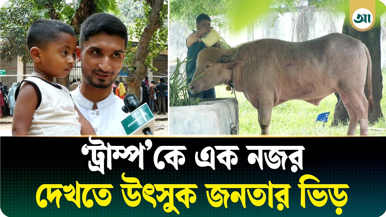 ঈদে চিড়িয়াখানার একমাত্র আকর্ষণ ‘ডোনাল্ড ট্রাম্প’