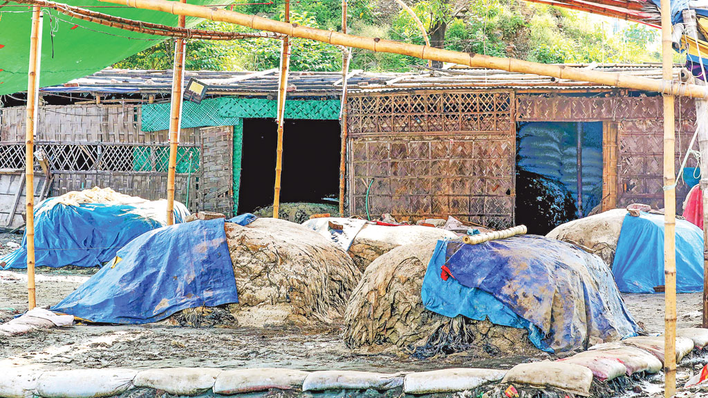 চীন-ভিয়েতনামে যাচ্ছে চামড়া