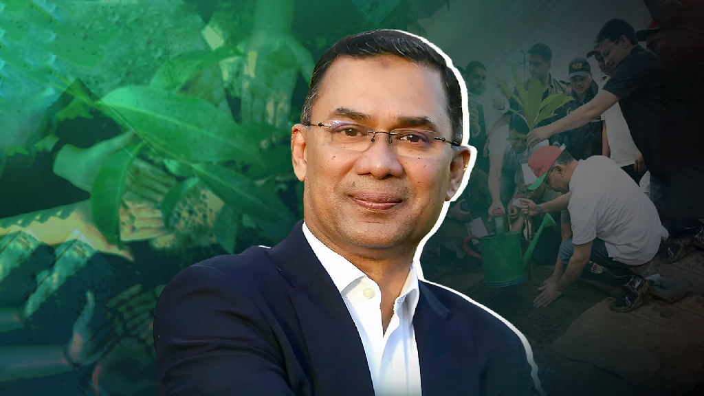 মাটি ও পরিবেশ উপযোগী বৃক্ষরোপণে গুরুত্ব প্রধানমন্ত্রীর