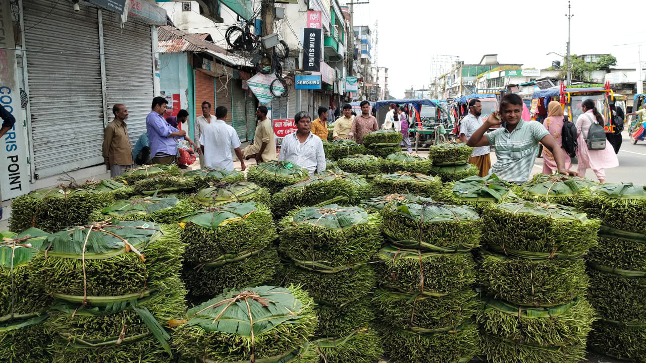 ন্যায্য দাম পাচ্ছেন না ভোলার পানচাষিরা