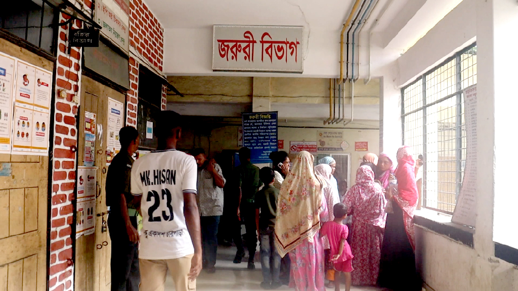 ইনডাকশন চুলায় বিদ্যুতায়িত হয়ে গৃহবধূর মৃত্যু