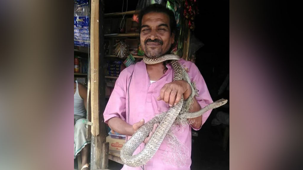 পাথরঘাটায় সাপের ছোবলে ওঝার মৃত্যু