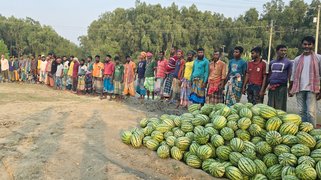 রাঙ্গাবালীতে ভূমি কর্মকর্তার বিরুদ্ধে চাঁদা দাবির অভিযোগ, প্রতিবাদে তরমুজচাষিদের মানববন্ধন