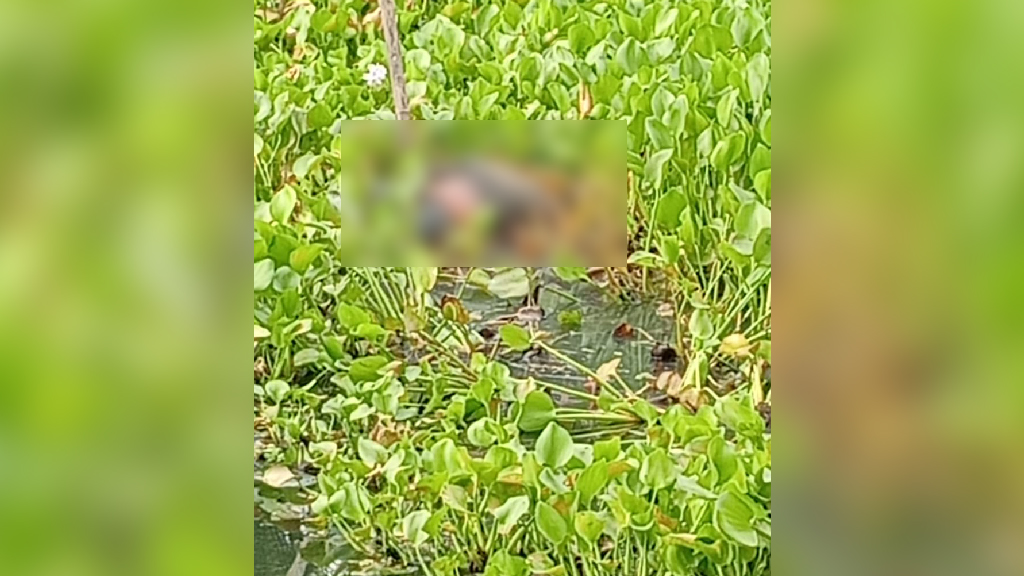 পটুয়াখালীতে খাল থেকে হাত-পা বাঁধা যুবকের মরদেহ উদ্ধার