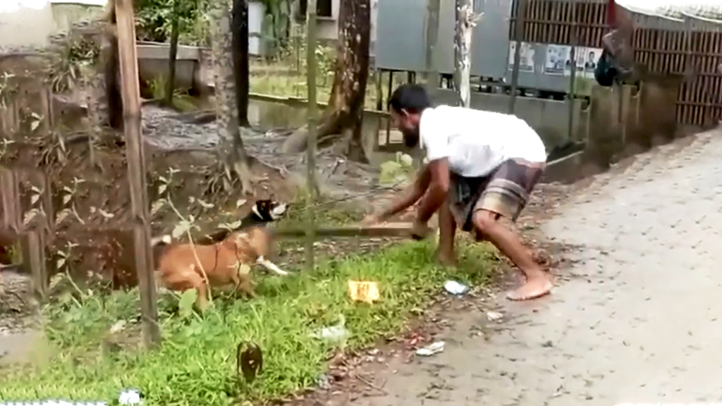 হাঁস তাড়া করার অভিযোগে পোষা কুকুর গাছের সঙ্গে বেঁধে পিটিয়ে হত্যা