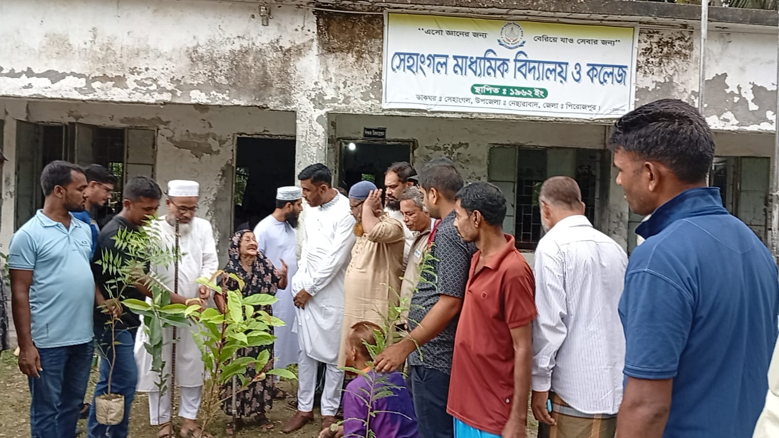 প্রধানমন্ত্রীর সবুজায়নের বার্তা ছড়াতে নেছারাবাদে বৃক্ষরোপণ কর্মসূচি