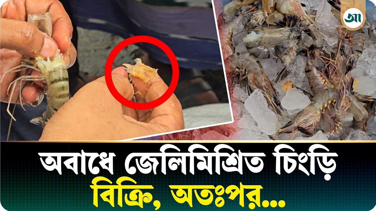 অবাধে বিক্রি হচ্ছিল জেলিমিশ্রিত চিংড়ি, অতঃপর যা হলো