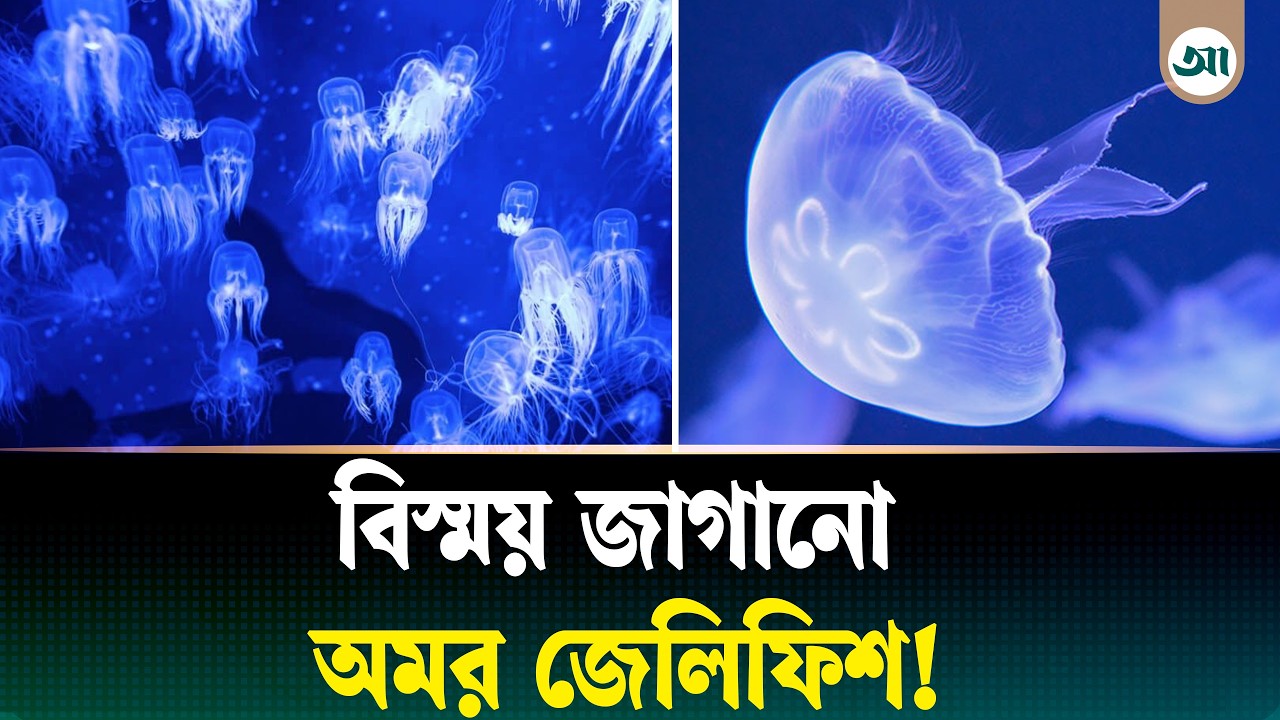 মৃত্যুকেও হার মানায় যে ক্ষুদ্র প্রাণী
