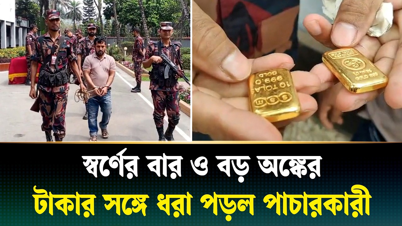 পাচার চলাকালীন দুই পিচ স্বর্ণের বার ও অর্ধকোটি টাকা জব্দ