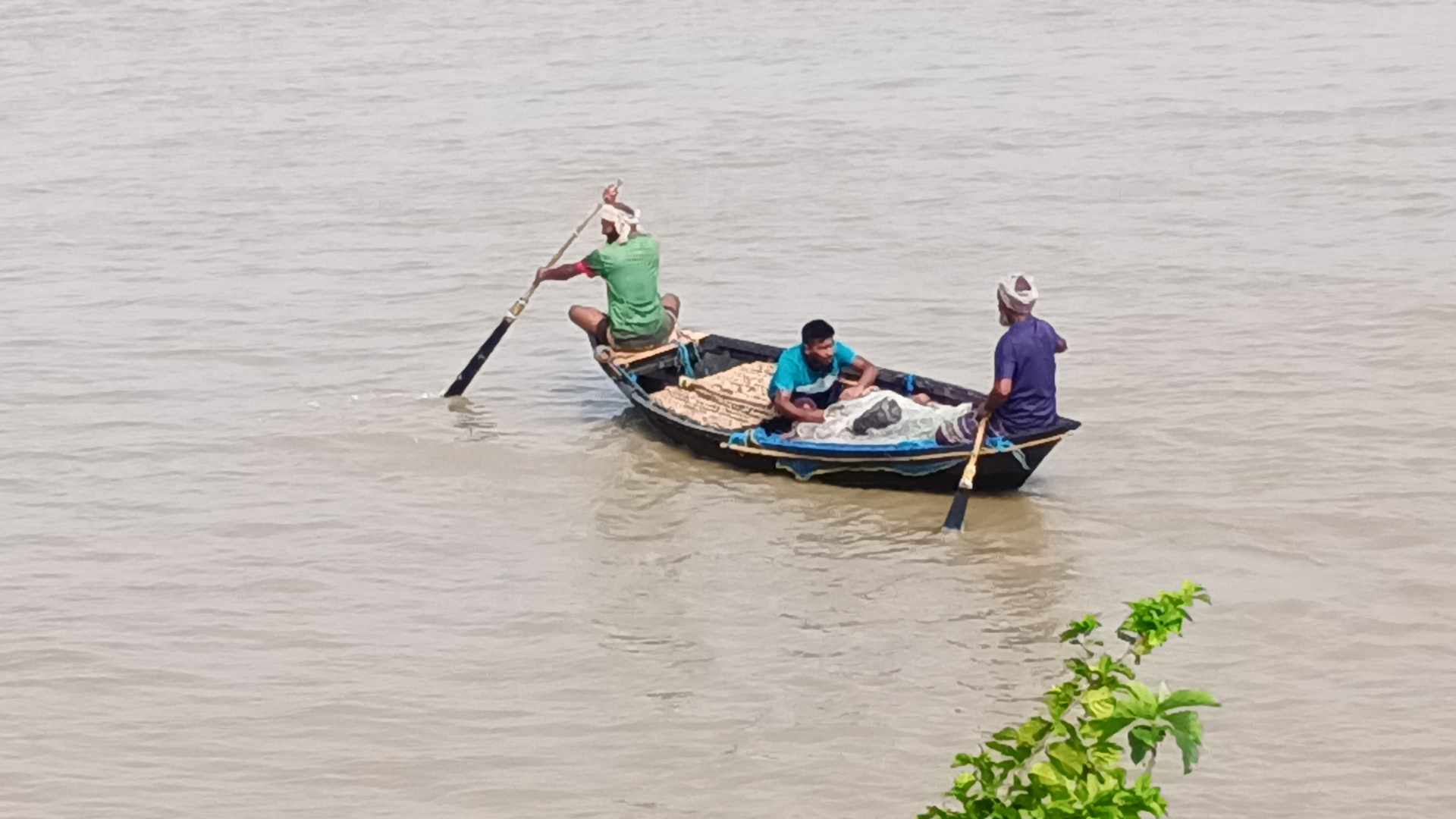 রাজবাড়ীতে ইলিশ ধরার অপরাধে ১৬ জেলের কারাদণ্ড