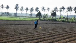 দিনের ছবি (২৯ অক্টোবর, ২০২৬)