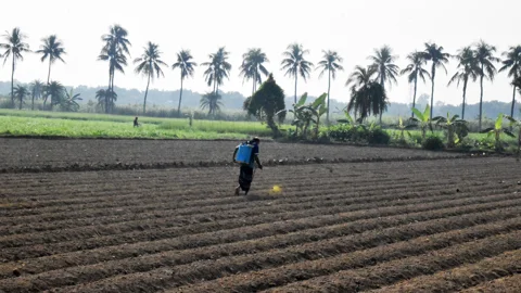 দিনের ছবি (২৯ অক্টোবর, ২০২৬)
