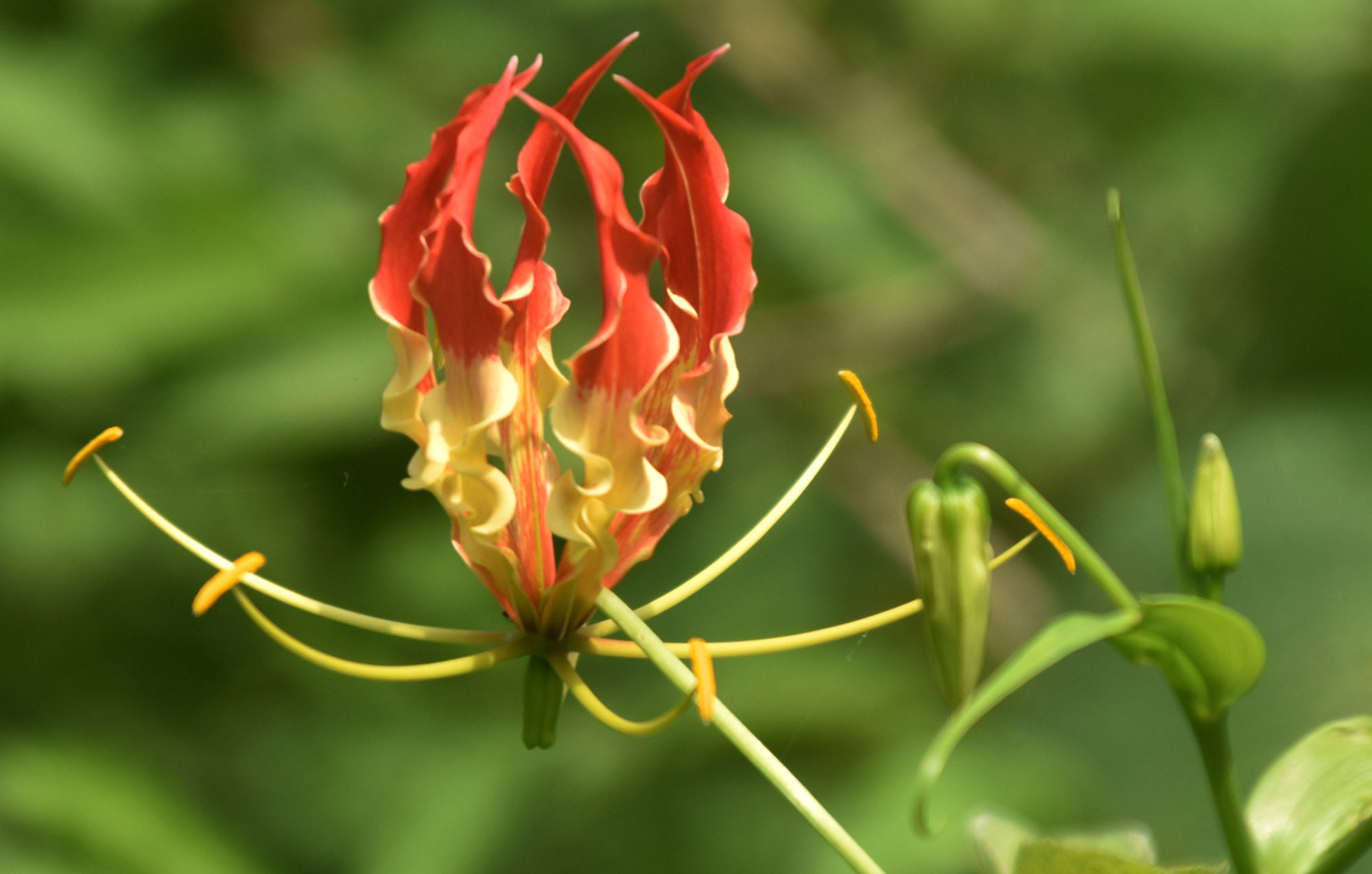দিনের ছবি (২৯ আগস্ট, ২০২৬)