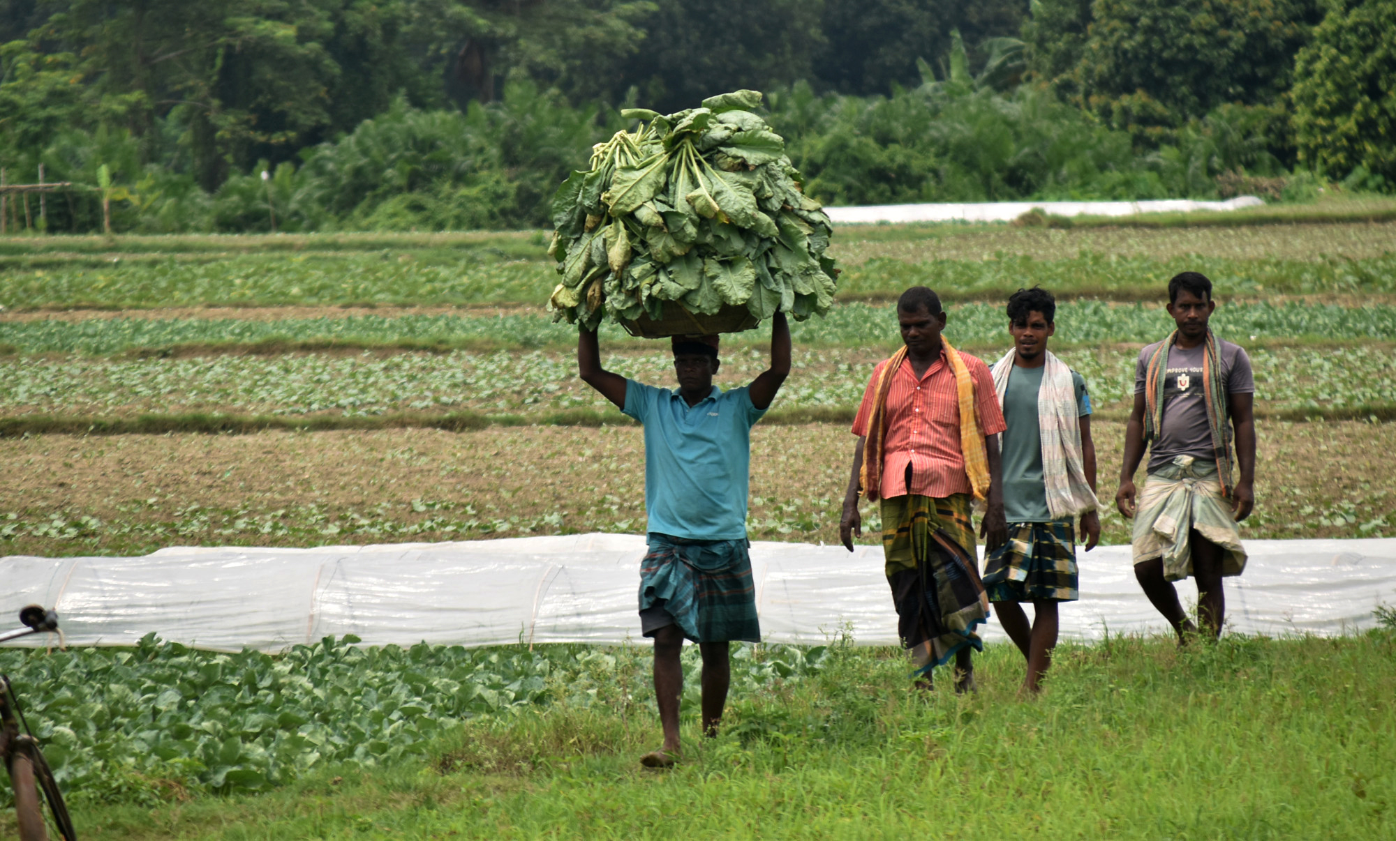 দিনের ছবি (২১ আগস্ট, ২০২৬)