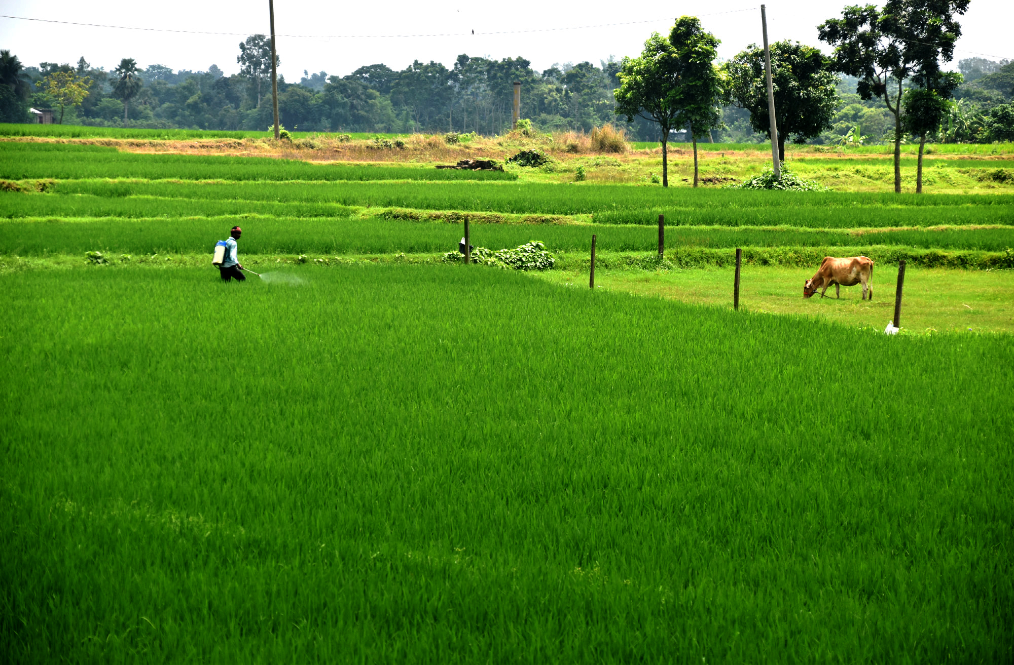 দিনের ছবি (২৮ আগস্ট, ২০২৬)
