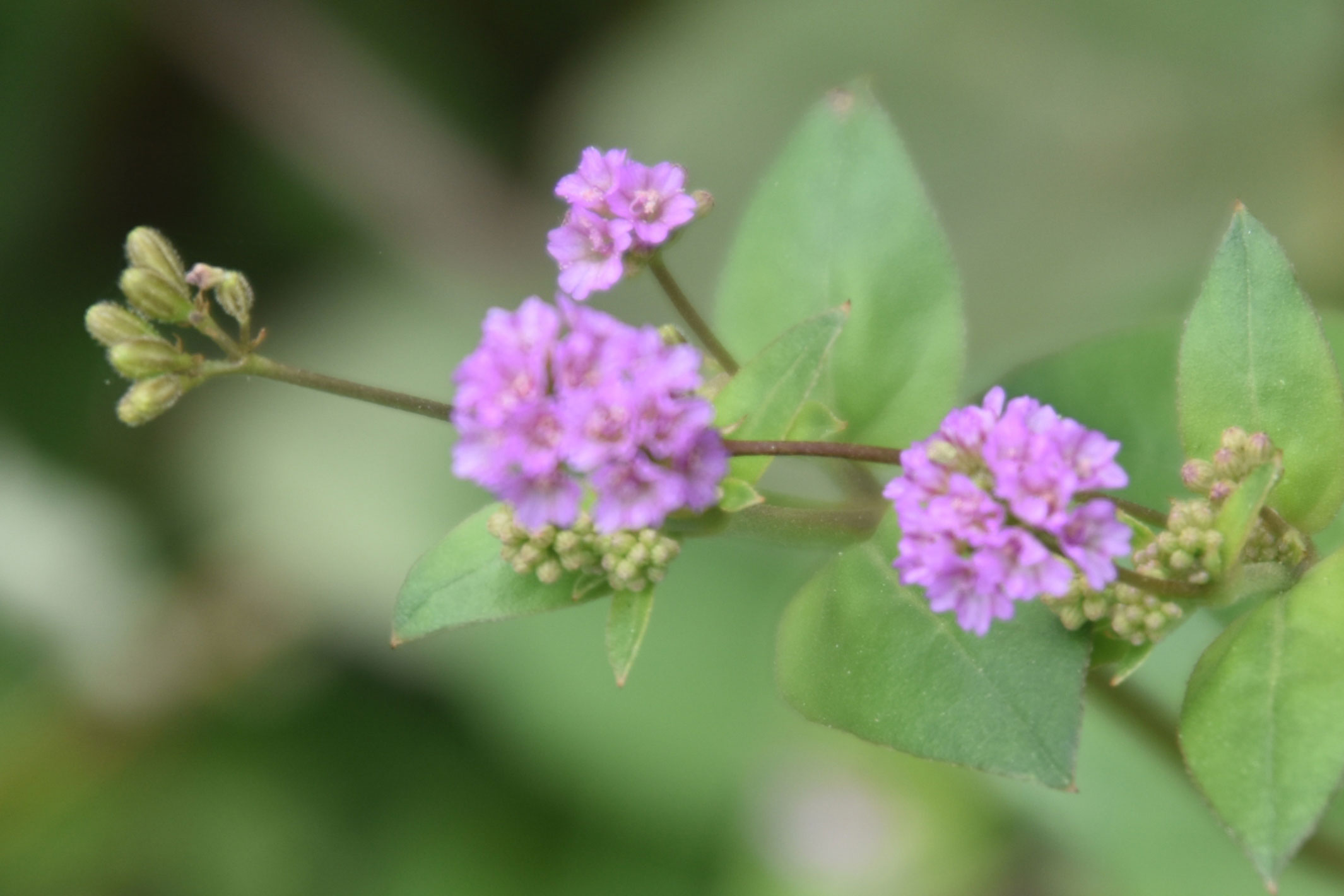 দিনের ছবি (০৫ অক্টোবর, ২০২৬)
