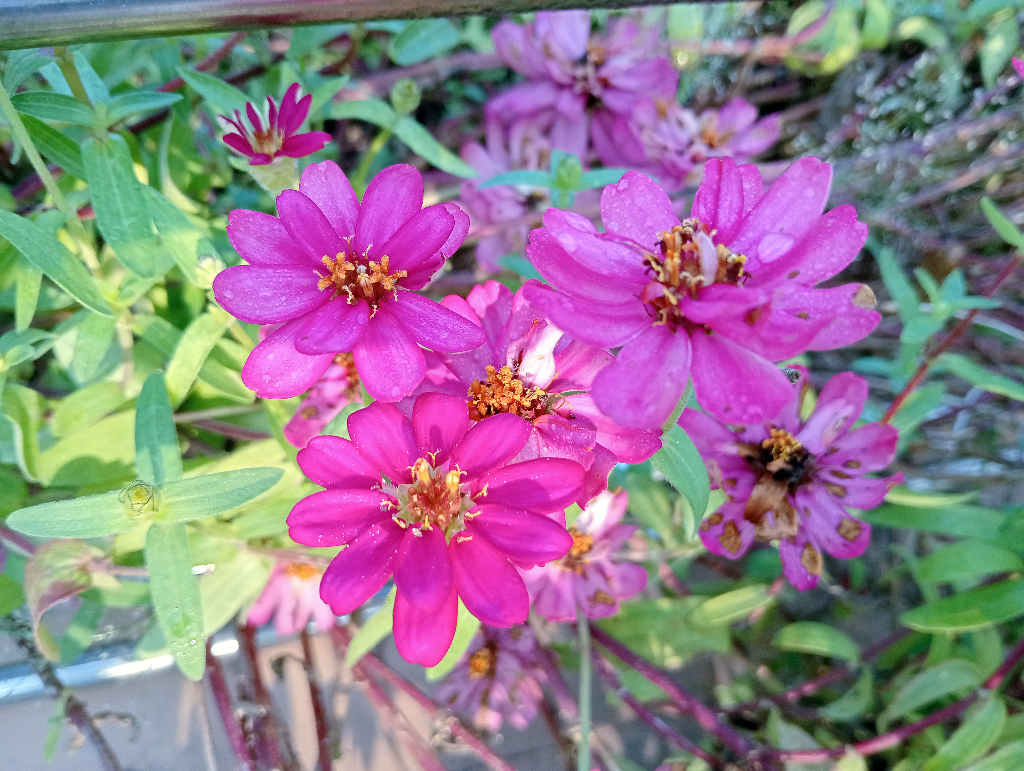 দিনের ছবি (১৪ অক্টোবর, ২০২৬)