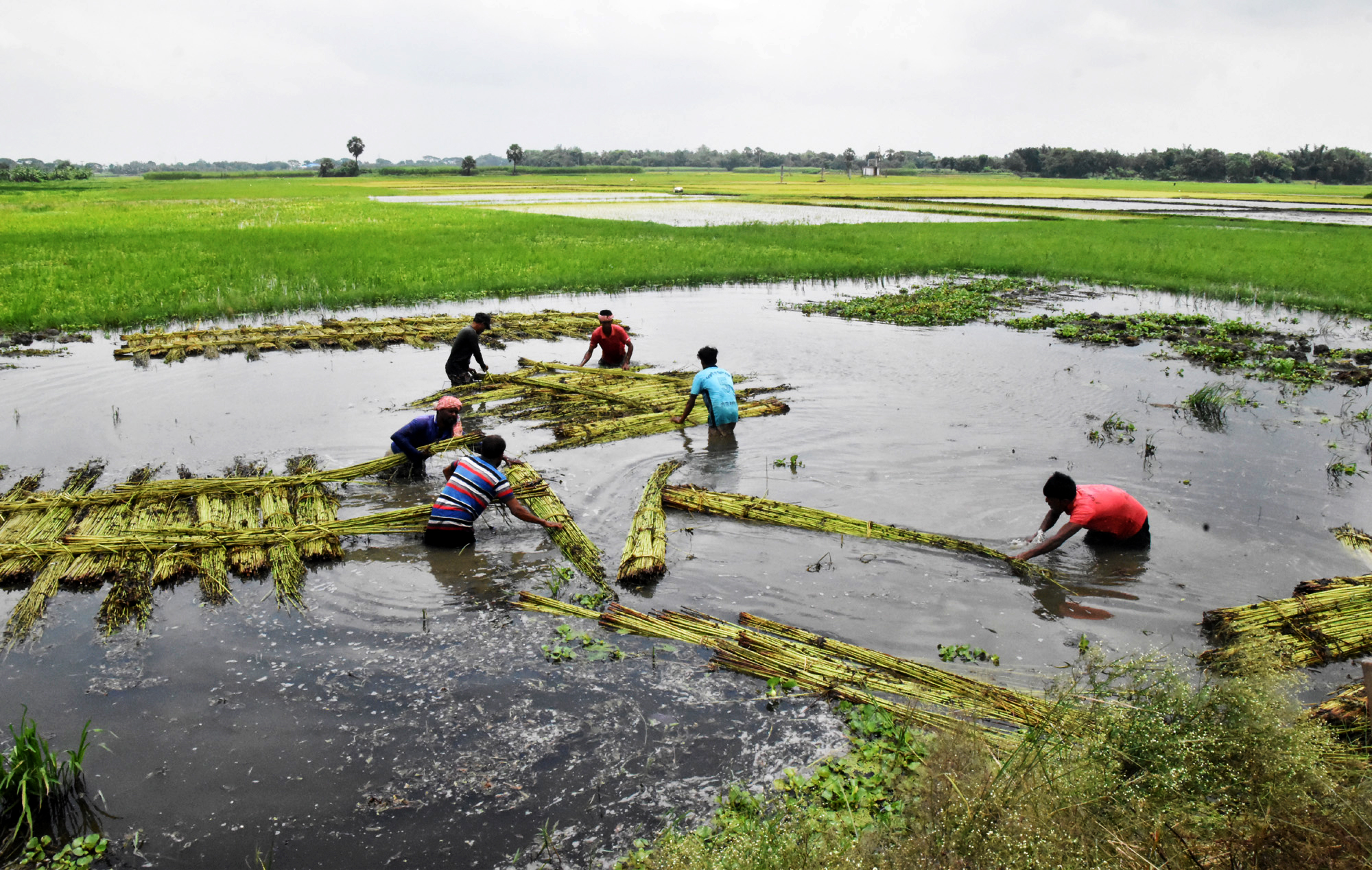 দিনের ছবি (৩০ জুলাই, ২০২৬)