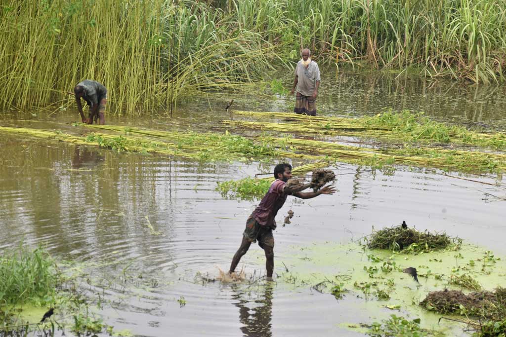 দিনের ছবি (৫ সেপ্টেম্বর, ২০২৬)