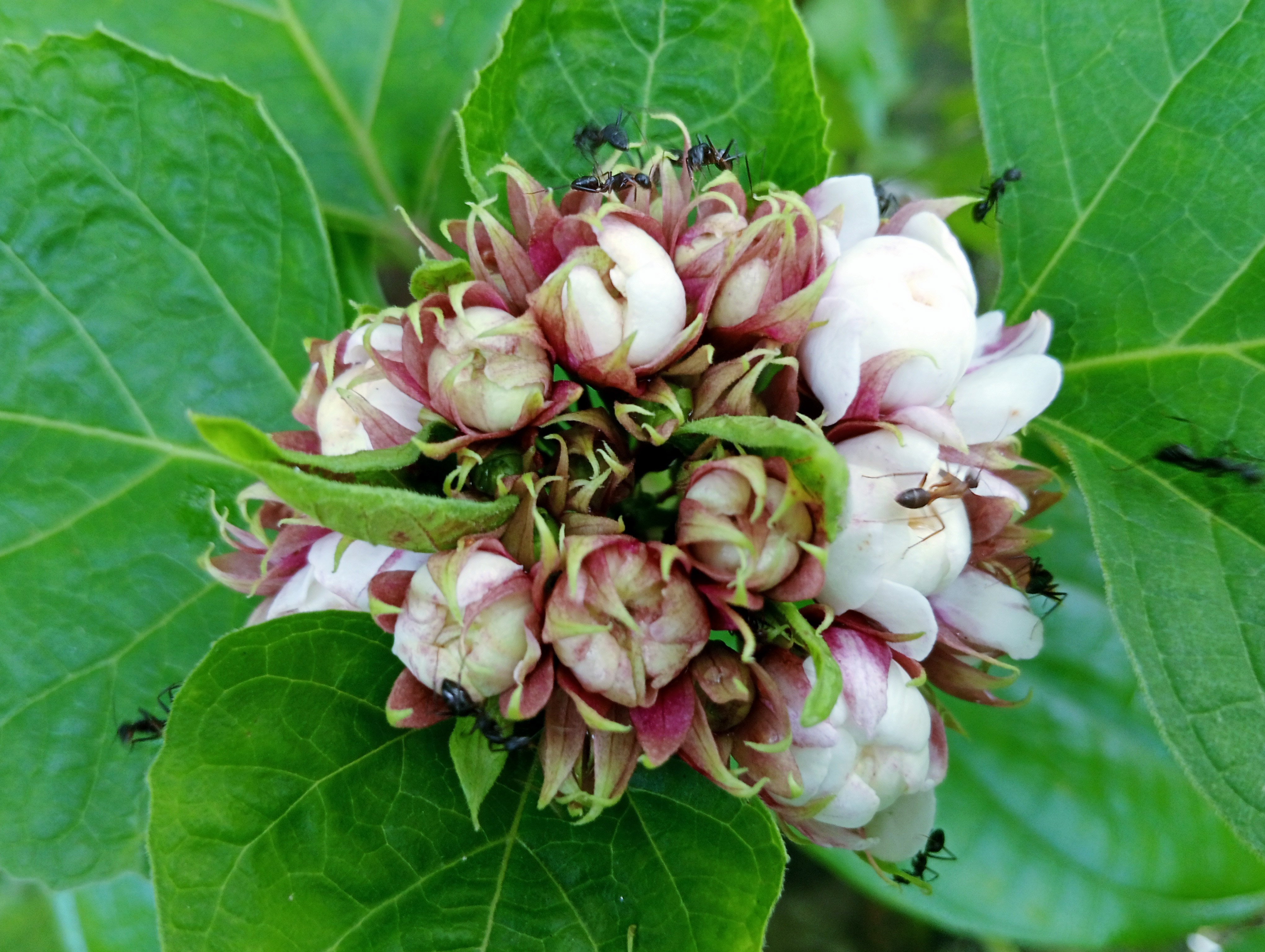 দিনের ছবি (২৩ জুলাই, ২০২৬)