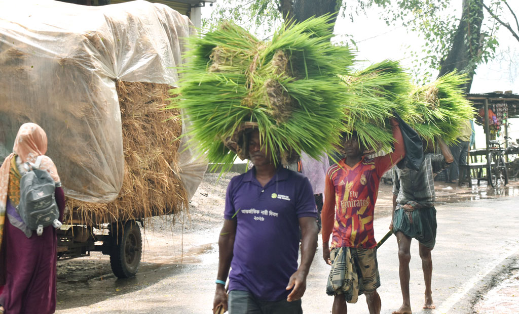 দিনের ছবি (১০ আগস্ট, ২০২৬)