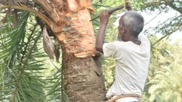 দিনের ছবি (১৬ অক্টোবর, ২০২৬)
