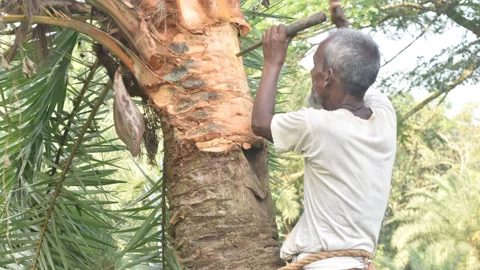 দিনের ছবি (১৬ অক্টোবর, ২০২৬)