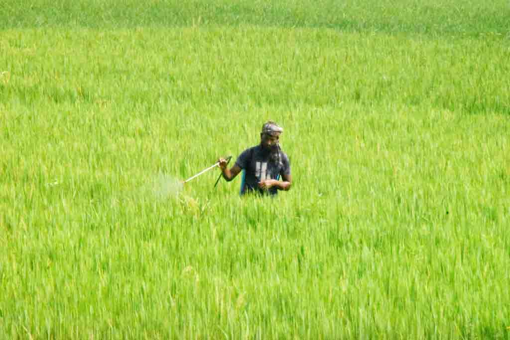 দিনের ছবি (০৪ অক্টোবর, ২০২৬)