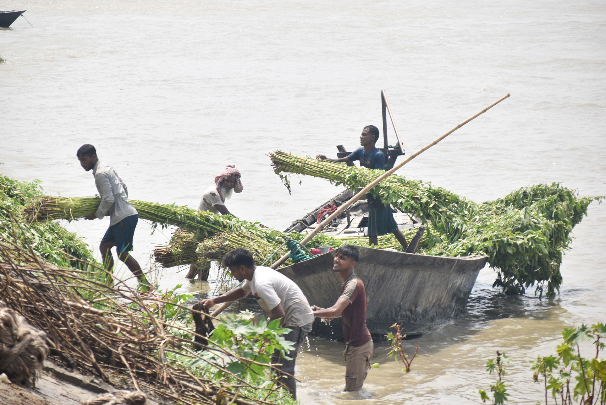 দিনের ছবি (১৬ আগস্ট, ২০২৬)