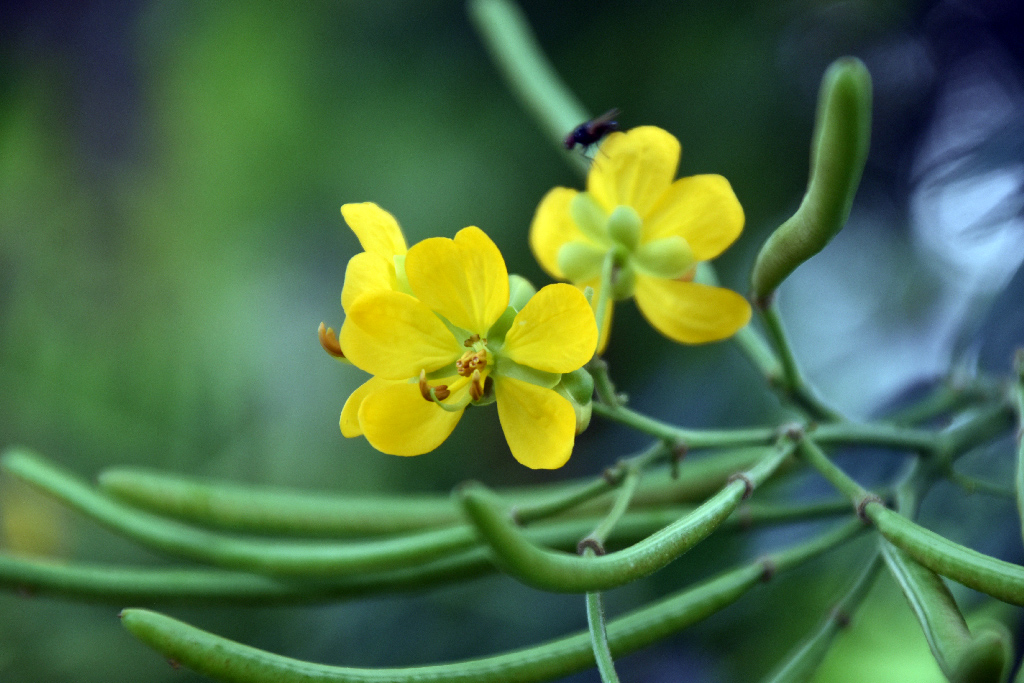দিনের ছবি (০৯ অক্টোবর, ২০২৬)
