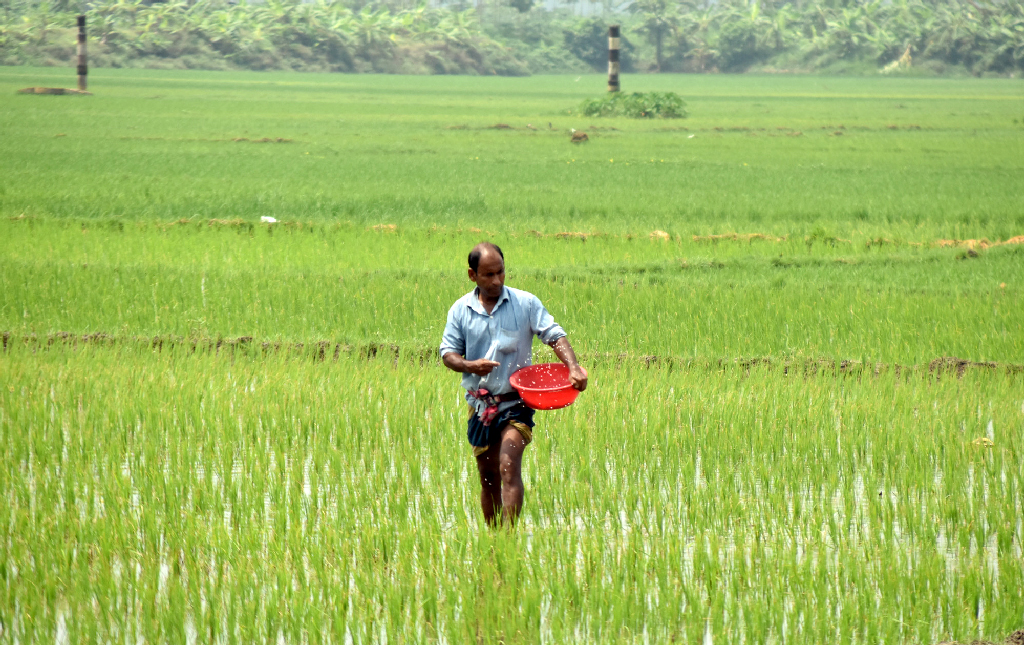 দিনের ছবি (৮ আগস্ট, ২০২৬)