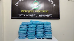 রাজশাহীতে ৫২ কেজি গাঁজাসহ তিনজন গ্রেপ্তার