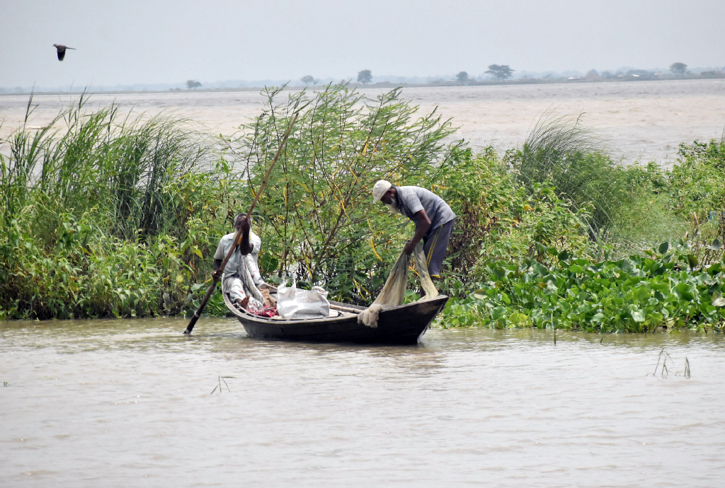 পদ্মা নদীর পানি বৃদ্ধি পাওয়ায় নগরীর দরগাপাড়সংলগ্ন এলাকায় ডিঙি নৌকা নিয়ে মাছ শিকারে মেতেছেন জেলেরা। নদীতে ধরা পড়ছে ছোট-বড় বিভিন্ন প্রজাতির মাছ। ছবি: মিলন শেখ