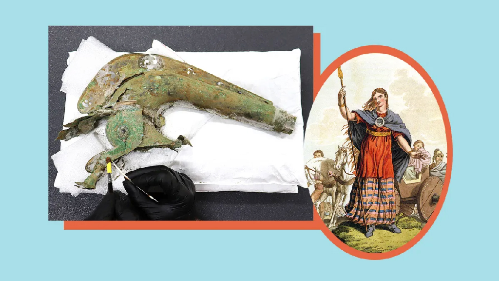 রানি বৌদিকার যুগের বিরল যুদ্ধসম্পদ আবিষ্কার