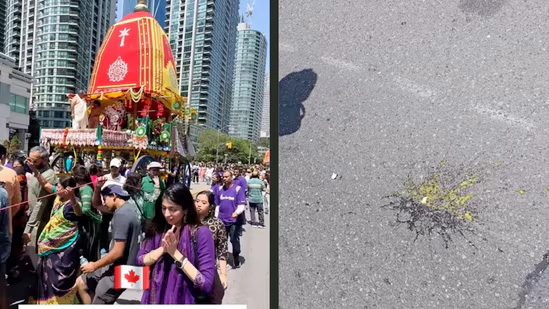 কানাডার টরন্টোতে ইসকনের রথযাত্রায় ডিম নিক্ষেপ, ভারতের উদ্বেগ