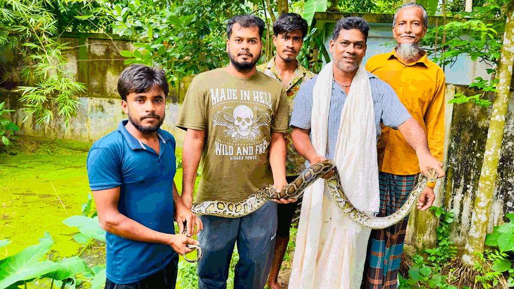 সাপ দিবসে অজগর উদ্ধার করে বনে অবমুক্ত