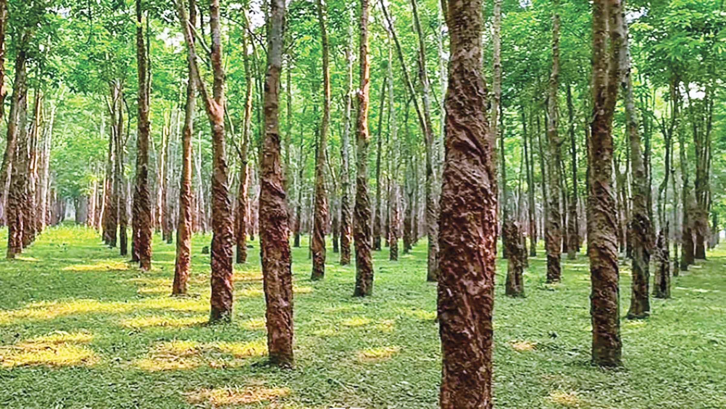 ছুটির দিনে সন্তোষপুর