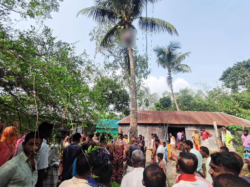 নারকেলগাছে ঝুলছিল বিদ্যুতায়িত পাপ্পুর মরদেহ