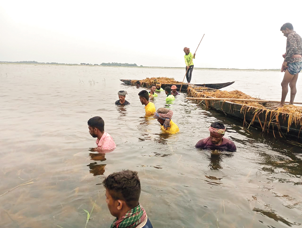 দুই মণ ধানের দামে এক শ্রমিক