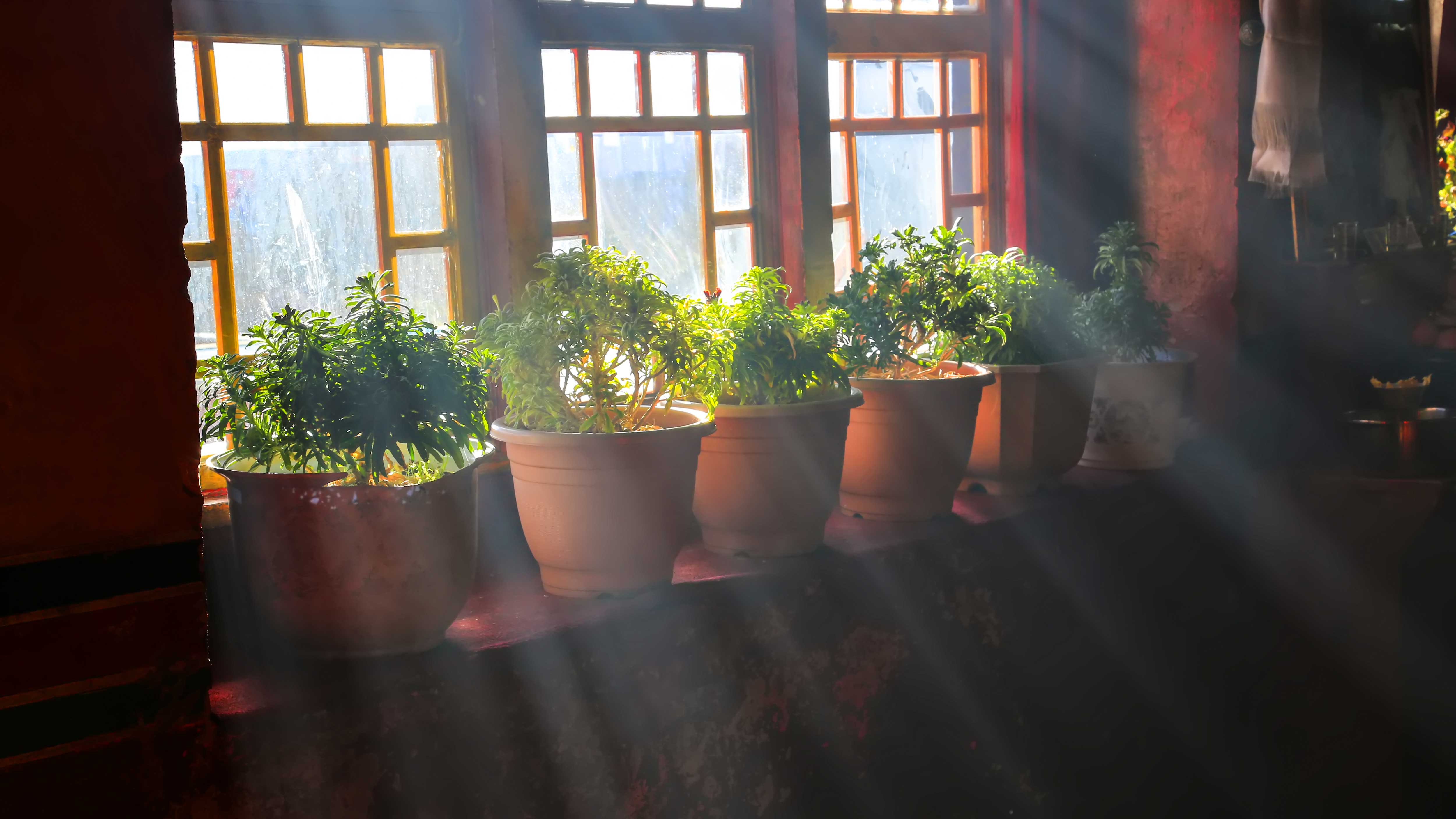 ২০২৬ সালে যে অভ্যাসগুলো আপনাকে সফল করে তুলতে পারে