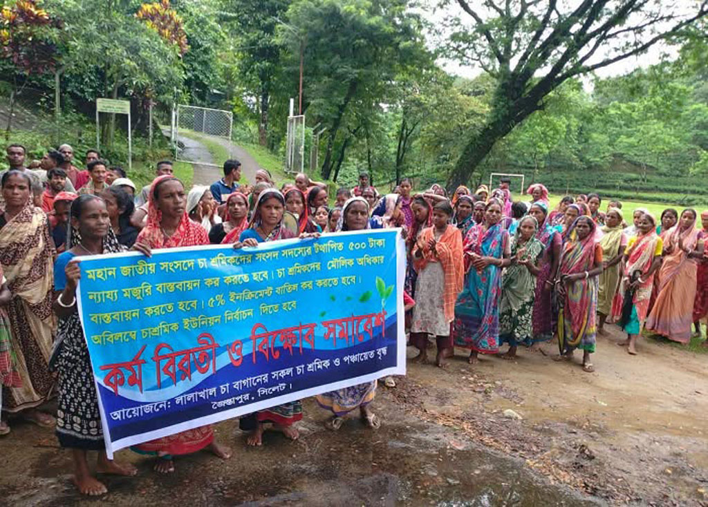 ৫০০ টাকা মজুরিসহ ৪ দফা দাবিতে সিলেটে কর্মবিরতিতে চা-শ্রমিকরা