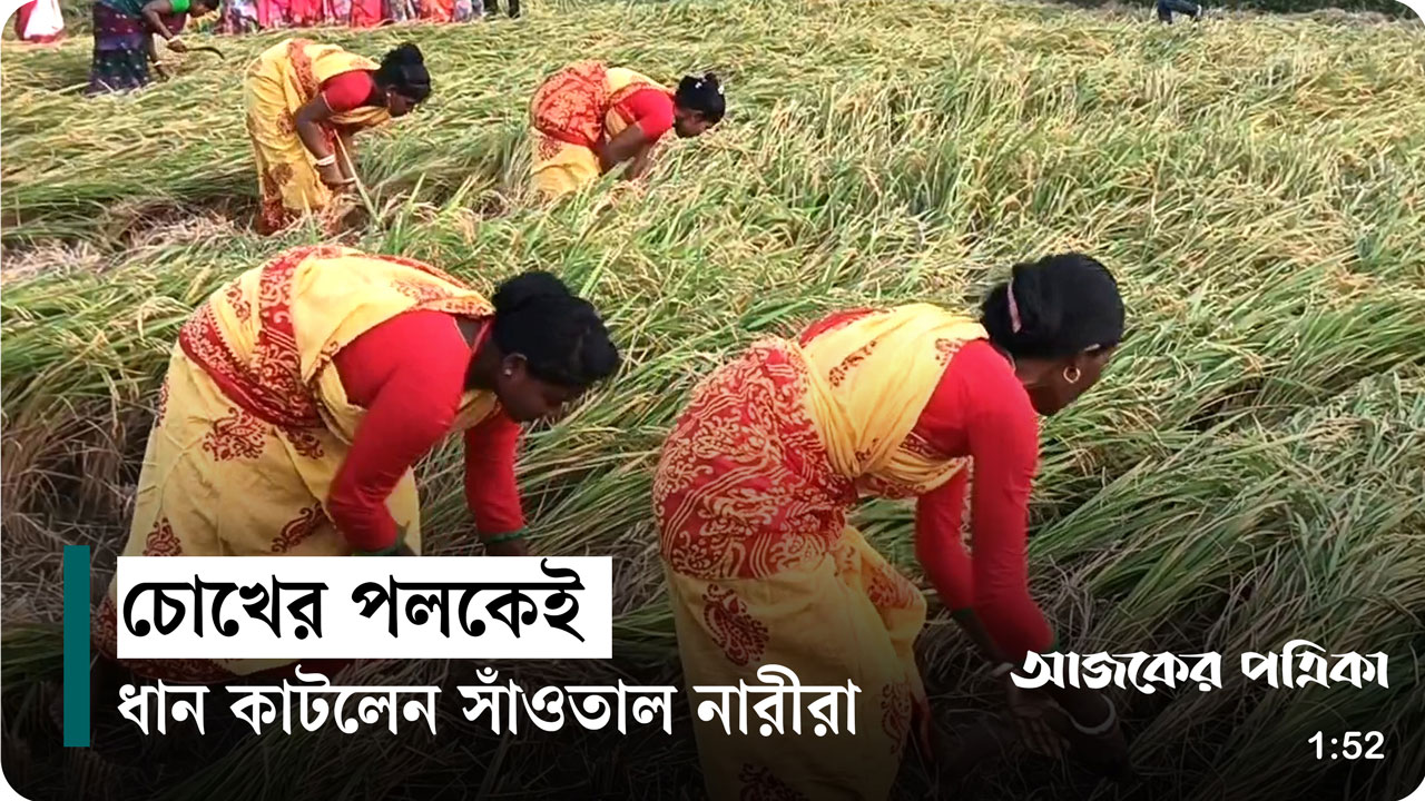 নির্মল আনন্দে সাঁওতালদের নবান্ন উৎসব